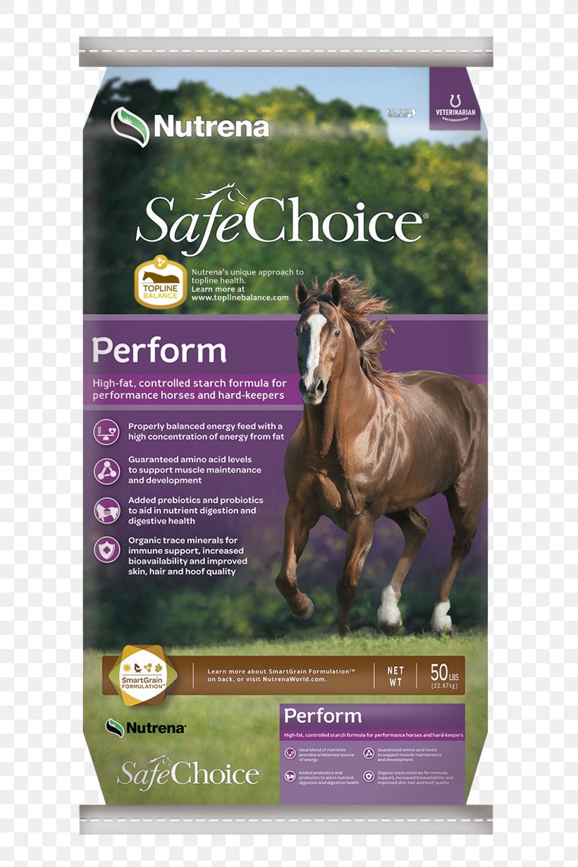 Horse Foal Mare Equine Nutrition Yearling, PNG, 732x1229px, Horse, Advertising, Black, Ecosystem, Equine Nutrition Download Free