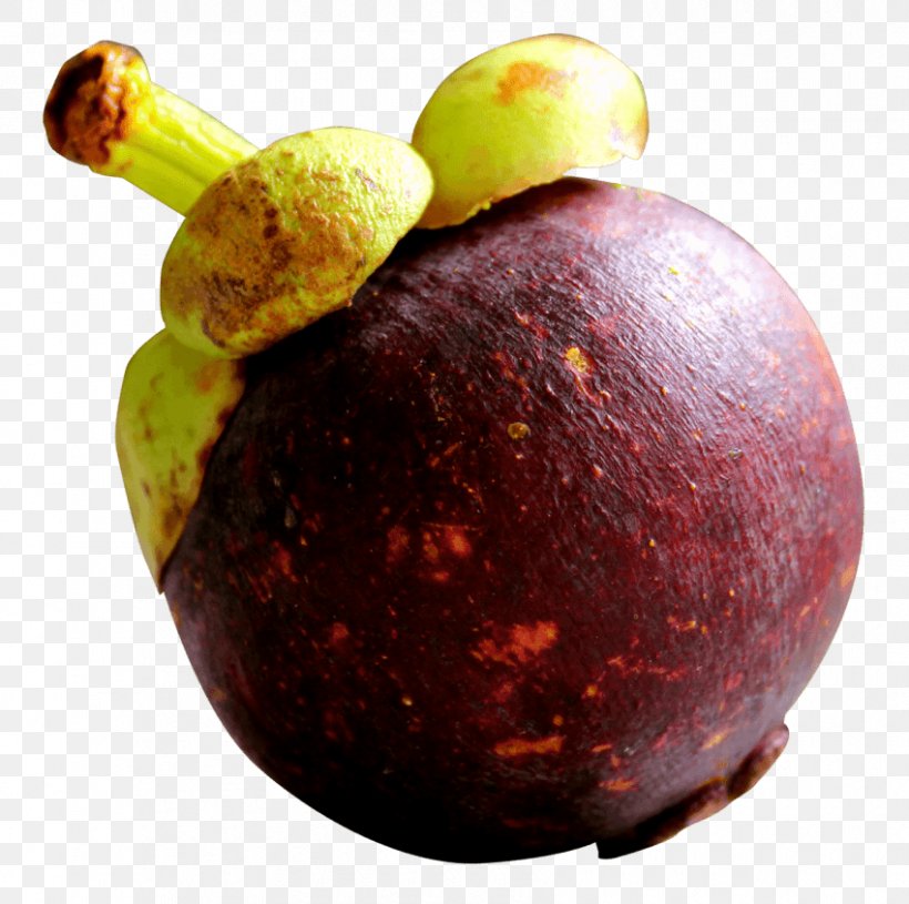 Mangosteens Clip Art Raster Graphics Image, PNG, 850x845px, Mangosteens, Austral Pacific Energy Png Limited, Computer Graphics, Food, Fruit Download Free
