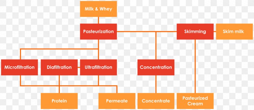 Skimmed Milk Cream Whey Ultrafiltered Milk, PNG, 1271x551px, Milk, Area, Brand, Cream, Dairy Farming Download Free