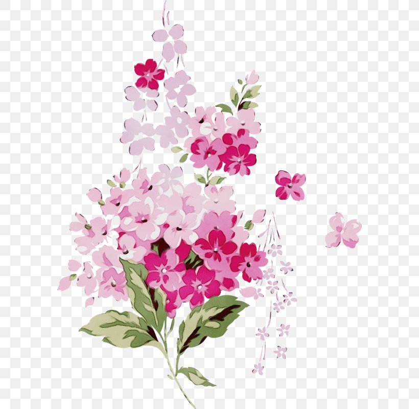 Water Paint Flowers, PNG, 596x800px, Watercolor, Bougainvillea, Branch, Brick, Buffets Sideboards Download Free