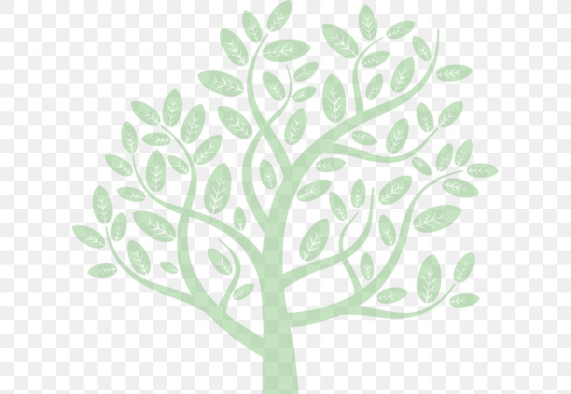 Branch Tree Root Leaf, PNG, 614x566px, Branch, Drawing, Flora, Floral Design, Green Download Free