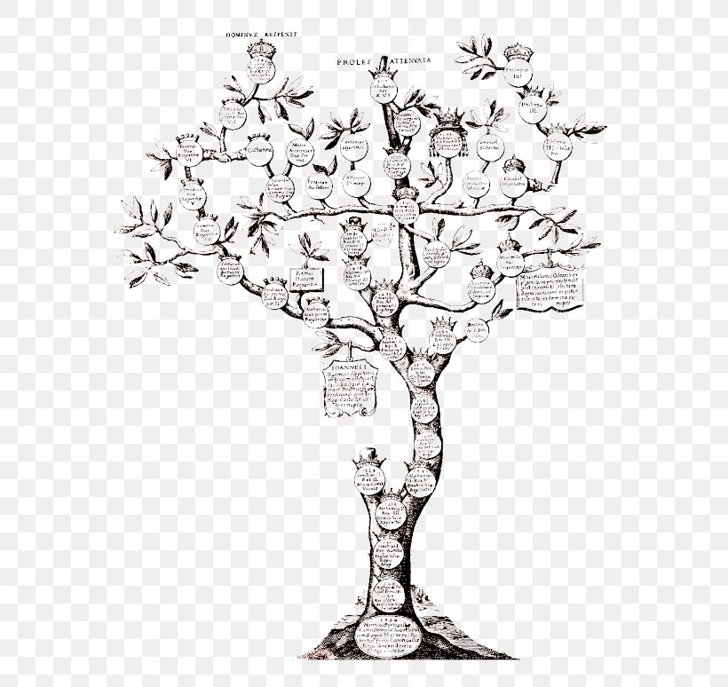 Genealogy Family Tree Chronology Ancestor, PNG, 640x774px, Genealogy, Ancestor, Branch, Chronology, Coloring Book Download Free