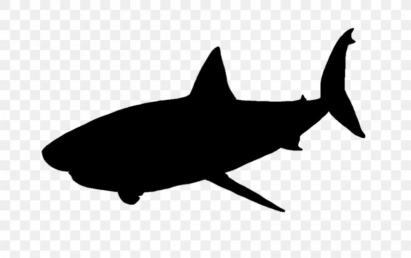 Great White Shark Clip Art, PNG, 1000x629px, Shark, Animal, Black And White, Cartilaginous Fish, Fauna Download Free
