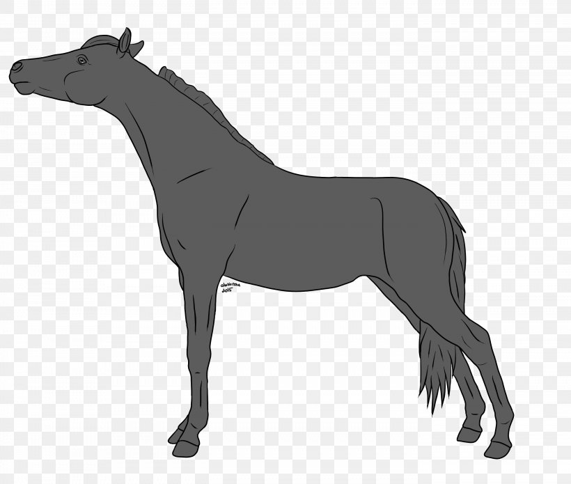 Horse Pony Stallion Foal Line Art, PNG, 2788x2364px, Horse, Art, Black And White, Bridle, Colt Download Free