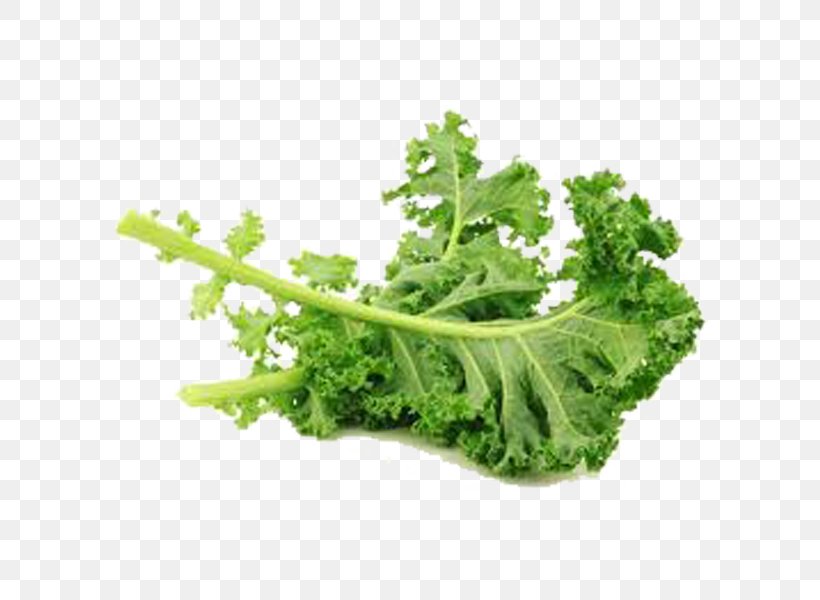 Kale Leaf Vegetable Stamppot, PNG, 700x600px, Kale, Brassica Oleracea, Broccoli, Capitata Group, Cauliflower Download Free