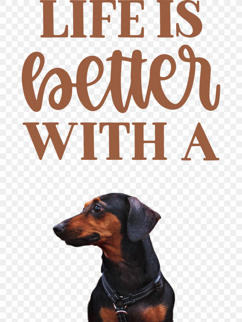 Life Better, PNG, 2252x3000px, Life, Altavista, Better, Breed, Dog Download Free