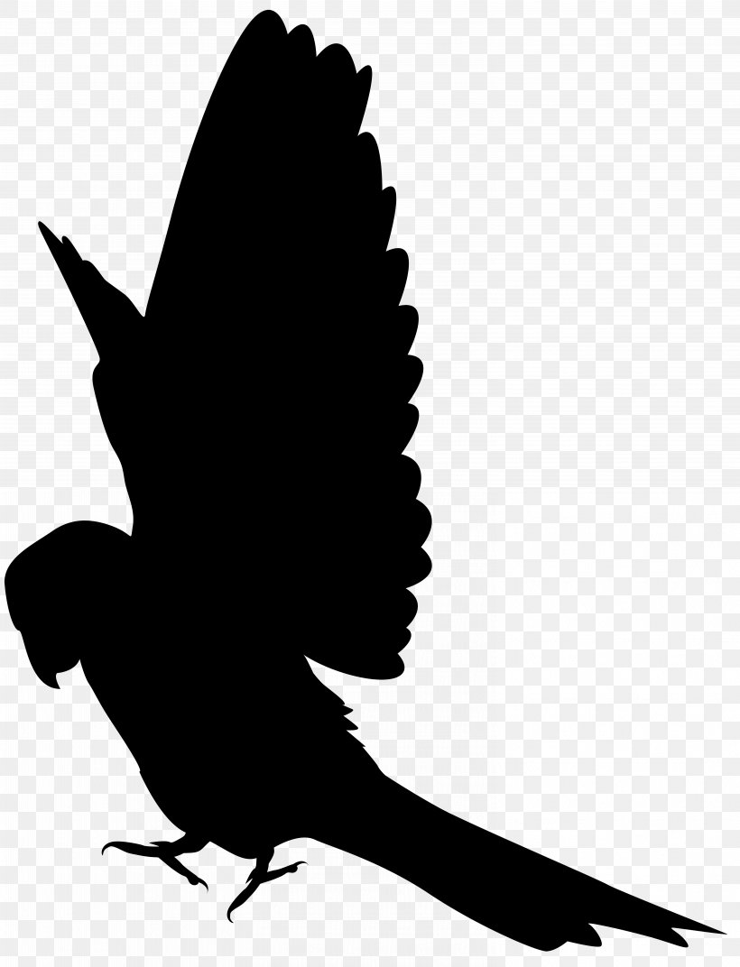 Parrot Silhouette Clip Art, PNG, 6117x8000px, Parrot, Beak, Bird, Black And White, Feather Download Free