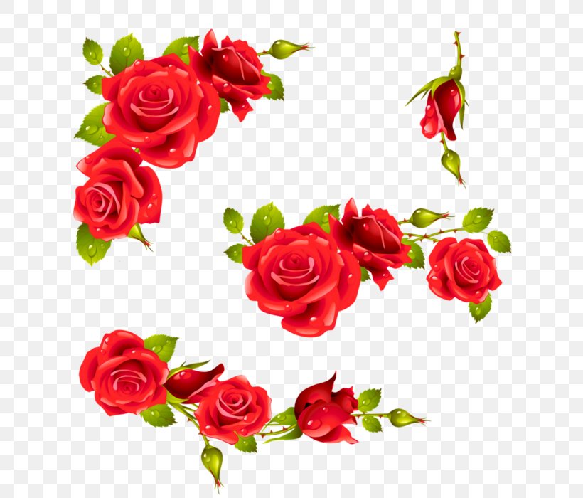 Rose Desktop Wallpaper Flower Clip Art, PNG, 700x700px, Rose, Artificial Flower, Cut Flowers, Floral Design, Floristry Download Free