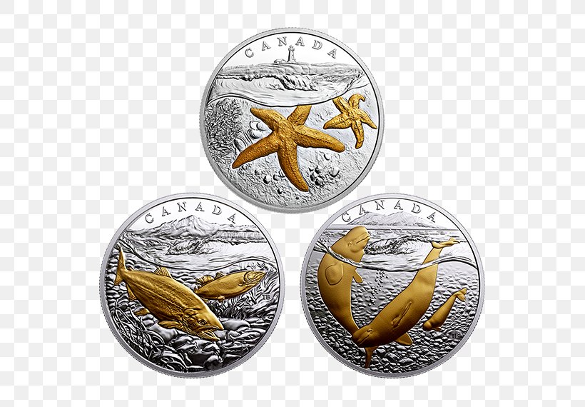 Silver Coin Gold Plating, PNG, 570x570px, Silver, Canada, Coast, Coin, Gilding Download Free