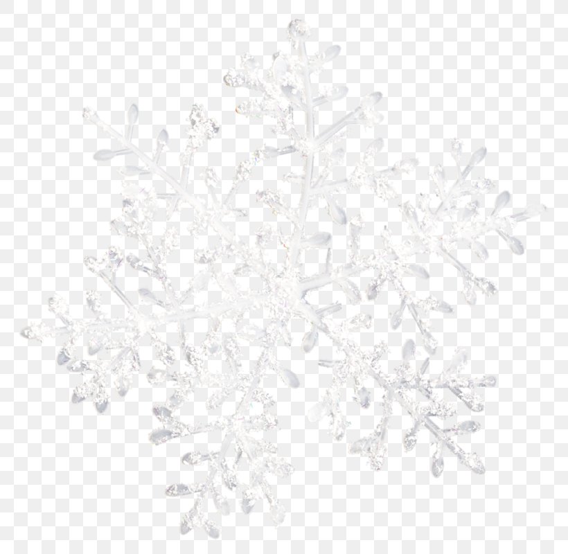 Snowflake Schema White, PNG, 800x800px, Snowflake, Black And White, Branch, Creativity, Designer Download Free
