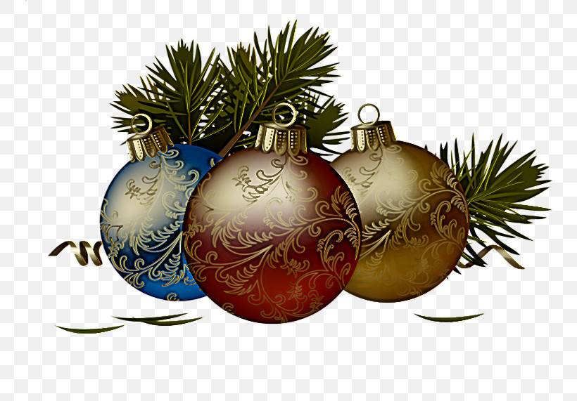 Christmas Ornament, PNG, 800x571px, Christmas Ornament, Arecales, Christmas, Christmas Decoration, Christmas Tree Download Free