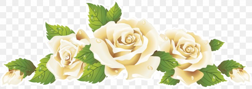 Garden Roses Cut Flowers Rosa × Alba Clip Art, PNG, 2028x723px, Garden Roses, Blog, Cabbage Rose, Cut Flowers, Floral Design Download Free