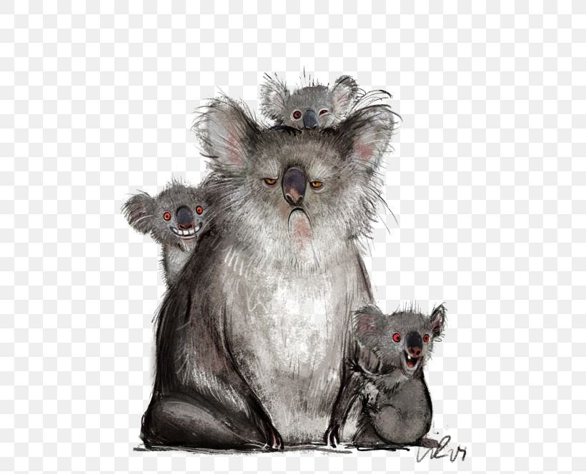 Koala Humour Blog Website, PNG, 500x664px, Koala, Blog, Father, Fauna, Fur Download Free