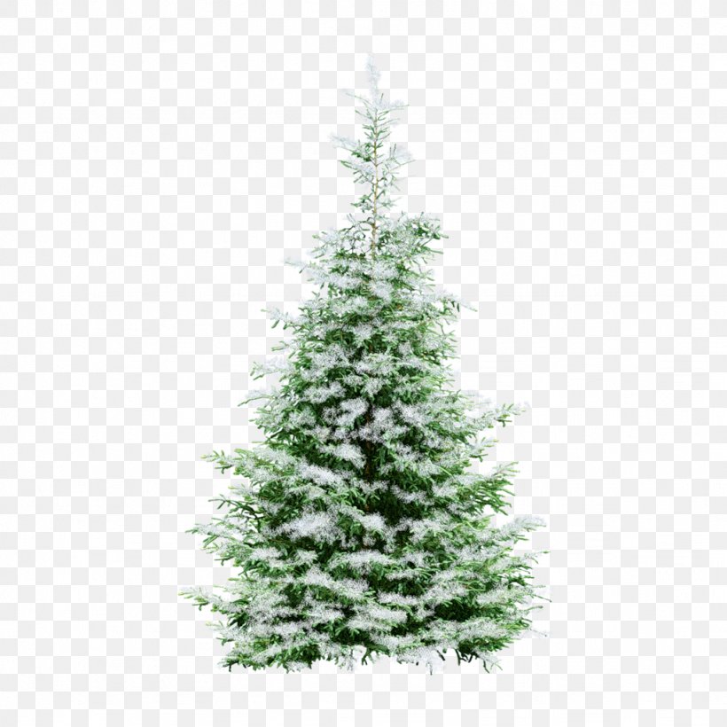 New Year Tree Christmas Animation, PNG, 1024x1024px, New Year Tree, Animation, Christmas, Christmas Decoration, Christmas Ornament Download Free