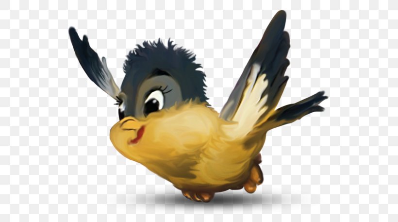 Bird Clip Art, PNG, 600x457px, Bird, Beak, Chicken, Fauna, Feather Download Free