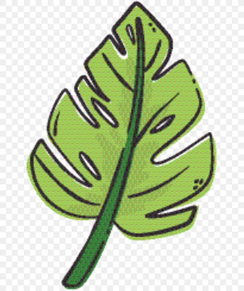 Green Leaf Background, PNG, 658x979px, Leaf, Botany, Flowering Plant, Green, Meter Download Free
