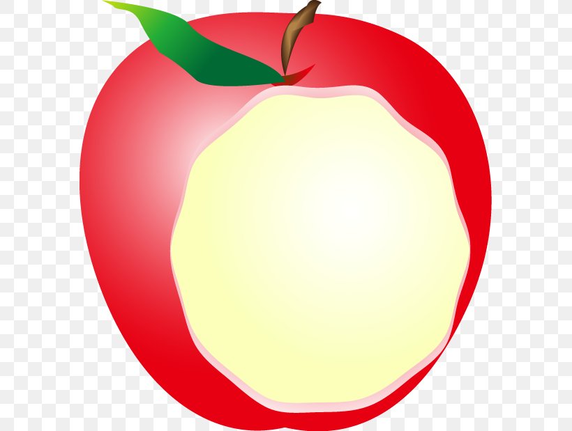 Apple Food Clip Art, PNG, 591x619px, Apple, Diet, Diet Food, Flowering Plant, Food Download Free