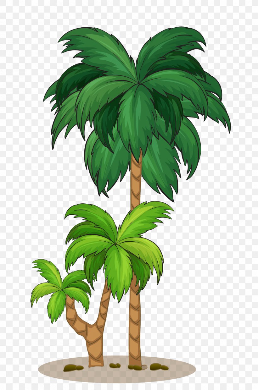 Coconut Arecaceae Tree Illustration, PNG, 1213x1836px, Coconut, Arecaceae, Arecales, Flowerpot, Houseplant Download Free
