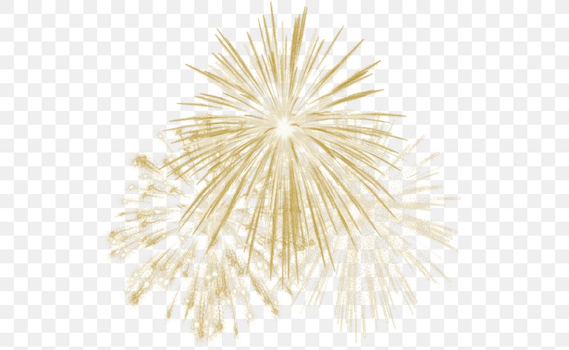 Fireworks Animation Clip Art, PNG, 524x505px, Fireworks, Animation, Display Resolution, Film, Flower Download Free