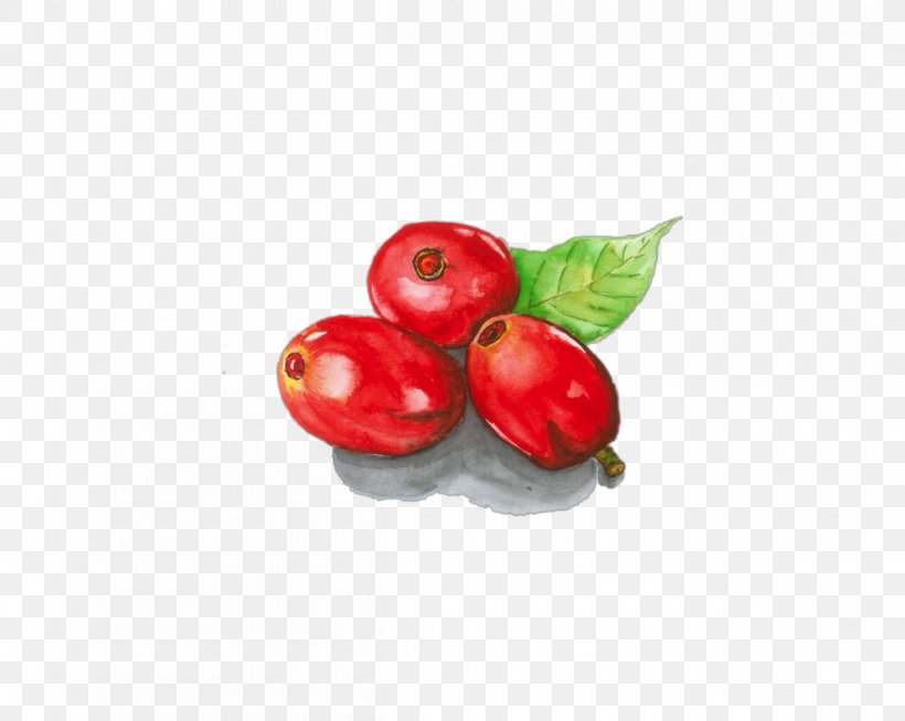 Fotolia Coffee, PNG, 1200x958px, Fotolia, Accessory Fruit, Acerola, Acerola Family, Apple Download Free