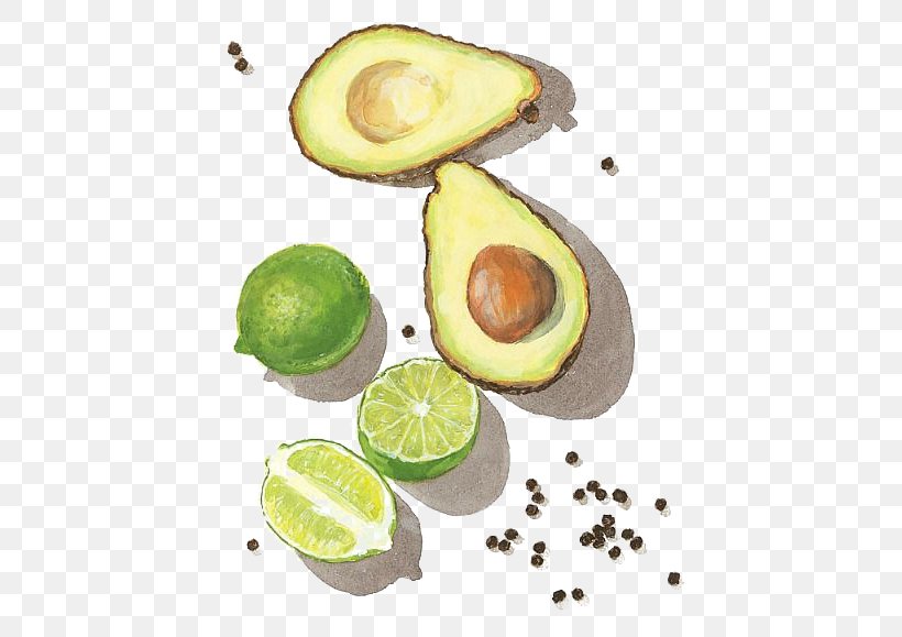 Mousse Watercolor Painting Avocado Drawing, PNG, 440x579px, Mousse, Art, Avocado, Citrus, Drawing Download Free