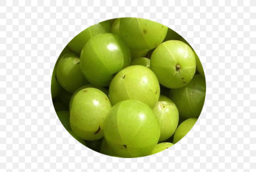 Indian Gooseberry Health Food, PNG, 500x550px, Indian Gooseberry, Berry, Coconut Oil, Eggplant, Food Download Free