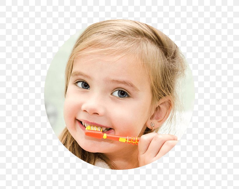 Pediatric Dentistry Health Insurance, PNG, 650x650px, Dentist, Cheek, Child, Chin, Dental Insurance Download Free