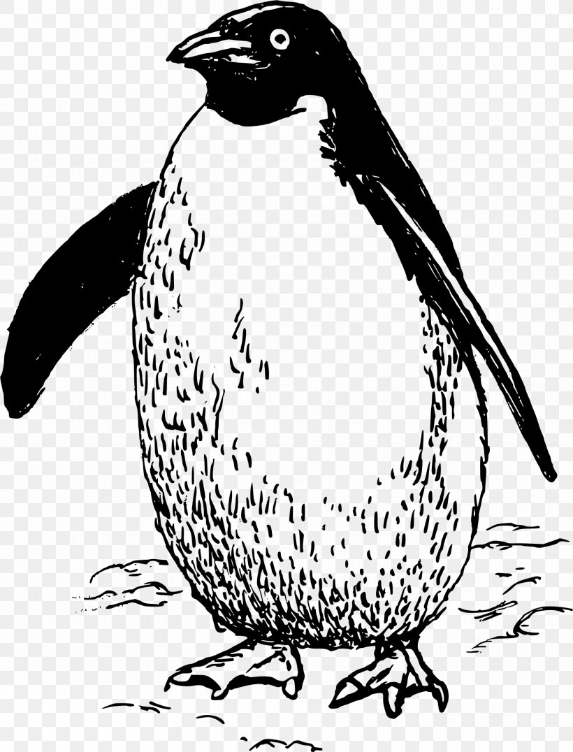 Penguin Line Art Clip Art, PNG, 1716x2253px, Penguin, Artwork, Beak, Bird, Black And White Download Free