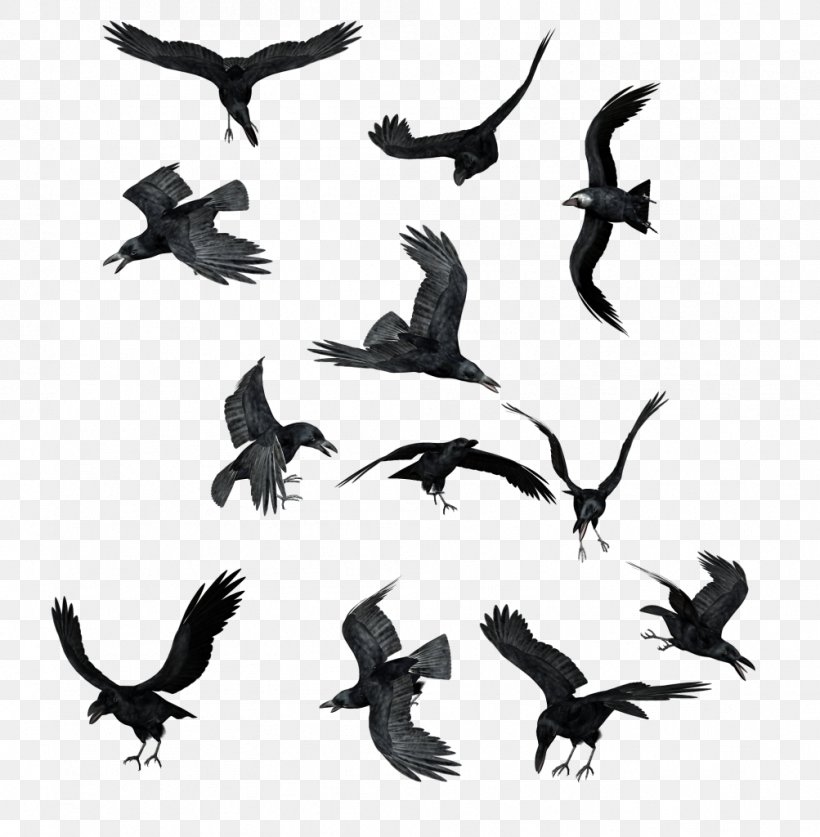 Butka, Russia DeviantArt Clip Art, PNG, 1003x1024px, Butka Russia, Animal Migration, Beak, Bird, Bird Migration Download Free