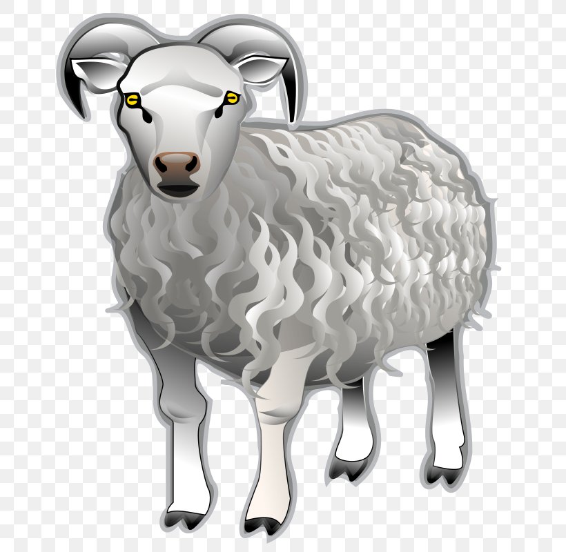 Dall Sheep Clip Art, PNG, 721x800px, Sheep, Argali, Bighorn Sheep, Cattle Like Mammal, Cow Goat Family Download Free