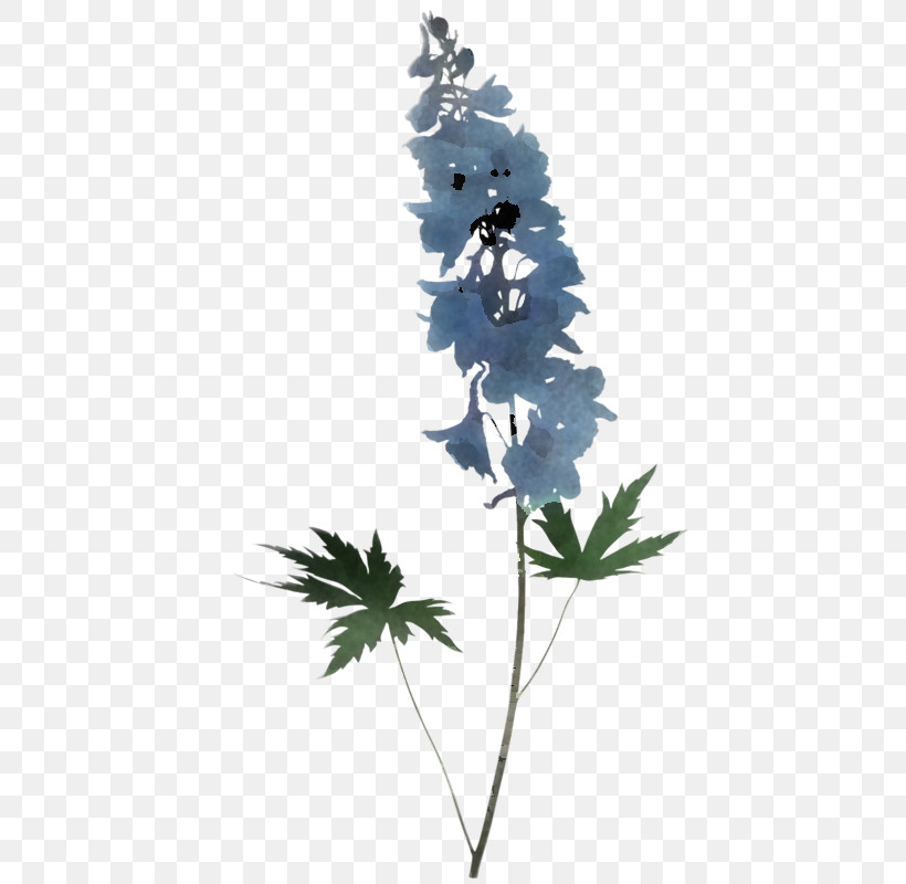 Flower Plant Leaf Delphinium Tree, PNG, 428x800px, Flower, Anemone, Bellflower, Delphinium, Leaf Download Free