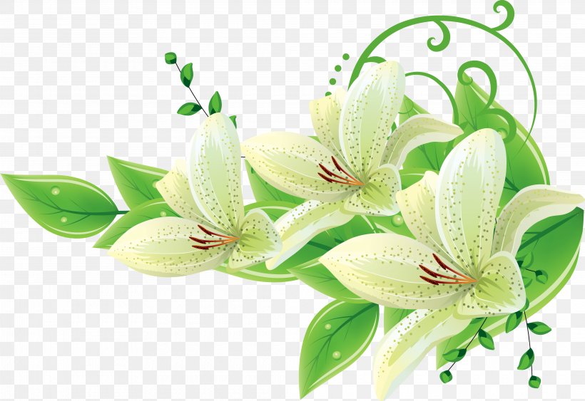 Flower, PNG, 4160x2860px, Flower, Cut Flowers, Floral Design, Flowering Plant, Lily Download Free