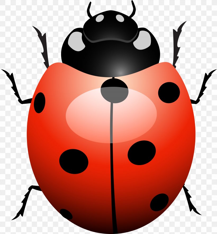 Ladybird Beetle Software Bug Software Testing, PNG, 4198x4544px, Ladybird, Artwork, Beetle, Computer Software, Fault Download Free