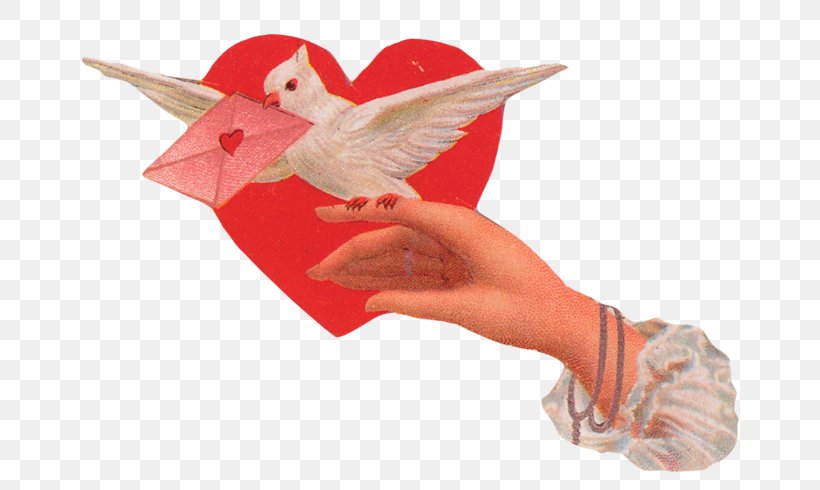 Valentine's Day Love God Lipog Rose, PNG, 699x490px, Love, Finger, God, Hand, Heart Download Free