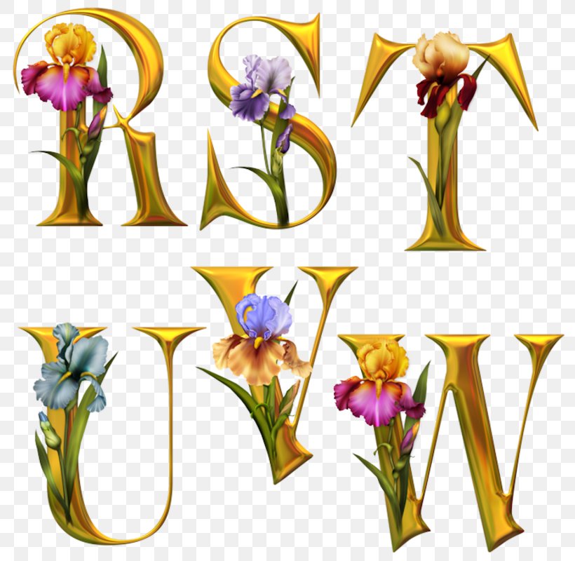 Letter Alphabet Flower Floral Design Font, PNG, 800x800px, Letter, Alpha, Alphabet, Calligraphy, Character Download Free