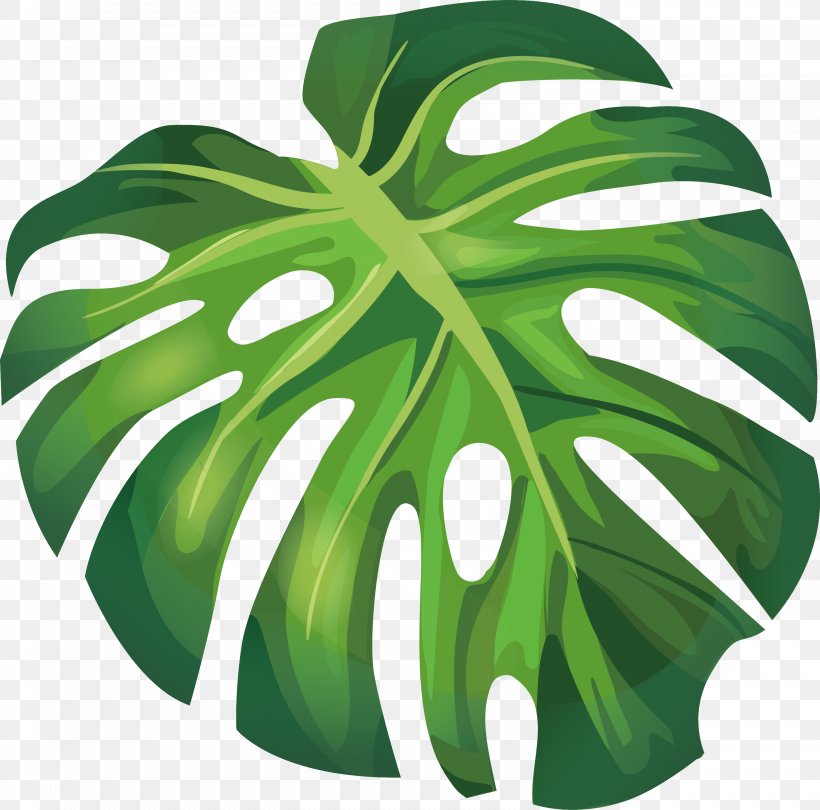 Leaf Arecaceae Euclidean Vector Illustration, PNG, 2788x2757px, Banana Leaf, Art, Banana, Green, Leaf Download Free