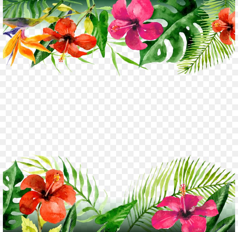 Leaf Arecaceae Flower, PNG, 800x800px, Watercolour Flowers, Arecaceae, Branch, Cut Flowers, Flora Download Free