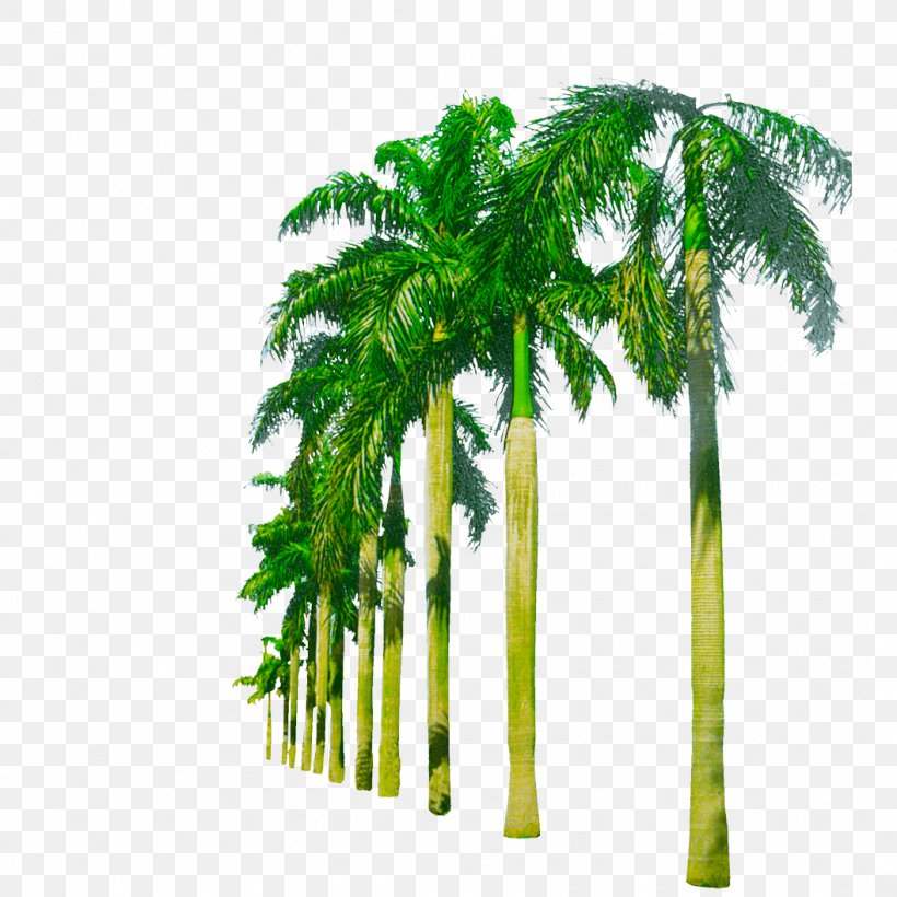 Nearly Natural 5259 Paradise Artificial Palm Trees Plants Hammock Between Palm Trees Adonidia, PNG, 1056x1056px, Tree, Adonidia, Arecales, Coconut, Date Palm Download Free
