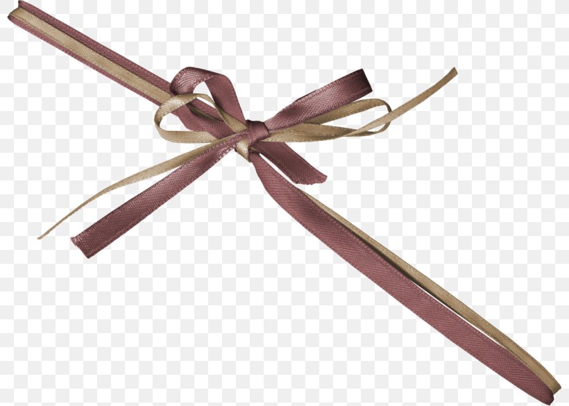 Ribbon Decorative Box Shoelace Knot Textile, PNG, 800x585px, Ribbon, Box, Decorative Box, Gift, Gift Wrapping Download Free