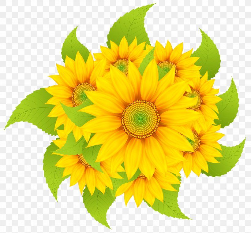 Common Sunflower Clip Art, PNG, 5000x4652px, Flower, Annual Plant, Artificial Flower, Chrysanths, Common Daisy Download Free