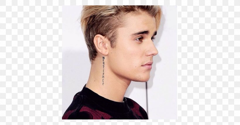 Justin Bieber Hairstyle Fashion Hair Coloring, PNG, 1200x630px, Watercolor, Cartoon, Flower, Frame, Heart Download Free