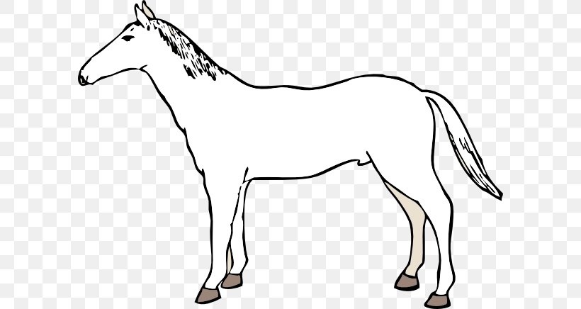 Mule Mustang American Paint Horse American Quarter Horse Mare, PNG, 600x436px, Mule, American Paint Horse, American Quarter Horse, Animal Figure, Black And White Download Free