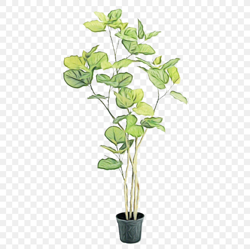 Flower Plant Flowerpot Houseplant Plant Stem, PNG, 500x815px, Watercolor, Anthurium, Branch, Flower, Flowerpot Download Free