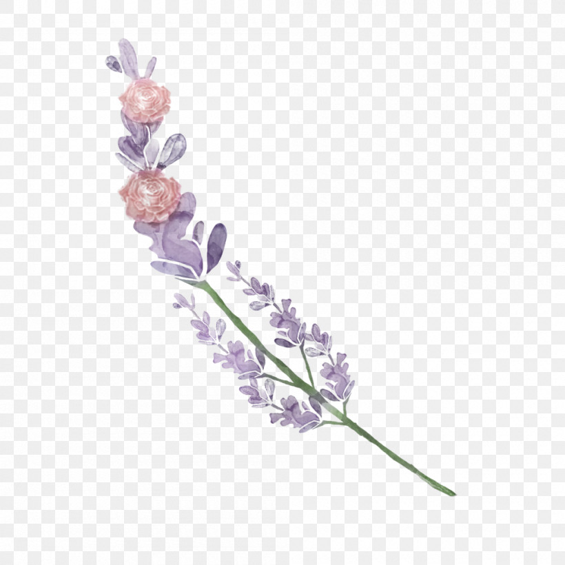 Lavender, PNG, 1000x1000px, Plant Stem, Biology, Branching, Flower, Lavender Download Free
