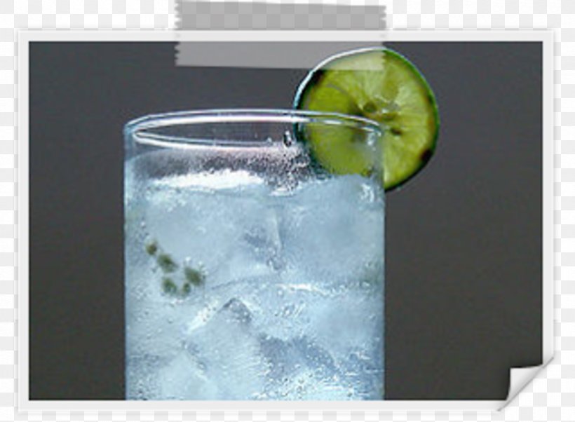 Rickey Gin And Tonic Vodka Tonic Cocktail Garnish Sea Breeze, PNG, 1200x881px, Rickey, Cocktail, Cocktail Garnish, Drink, Gin Download Free