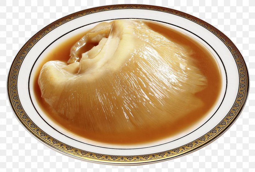 Shark Fin Soup Chinese Cuisine Food, PNG, 1700x1145px, Shark Fin Soup, Abalone, Chinese Cuisine, Cooking, Dish Download Free