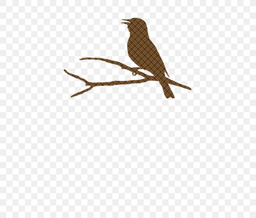 Wren Beak Fauna Cuckoos Feather, PNG, 452x700px, Wren, Beak, Bird, Branch, Cuckoos Download Free