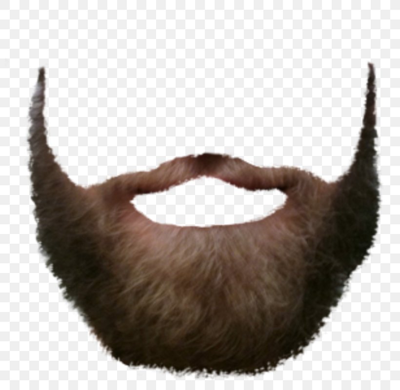 Beard Image File Formats Clip Art, PNG, 800x800px, Beard, Cat, Fur, Image File Formats, Lossless Compression Download Free
