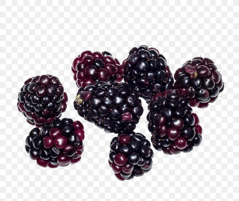 Boysenberry Loganberry Tayberry Raspberry Blackberry, PNG, 1199x1007px, Boysenberry, Auglis, Berry, Blackberry, Dietary Fiber Download Free