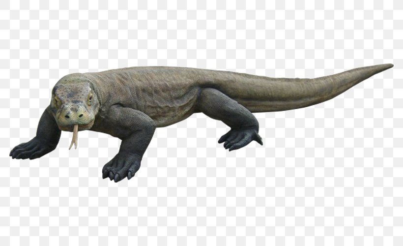Komodo Dragon Reptile Lizard Image, PNG, 800x500px, Komodo Dragon, Animal Figure, Dinosaur, Dragon, Fauna Download Free